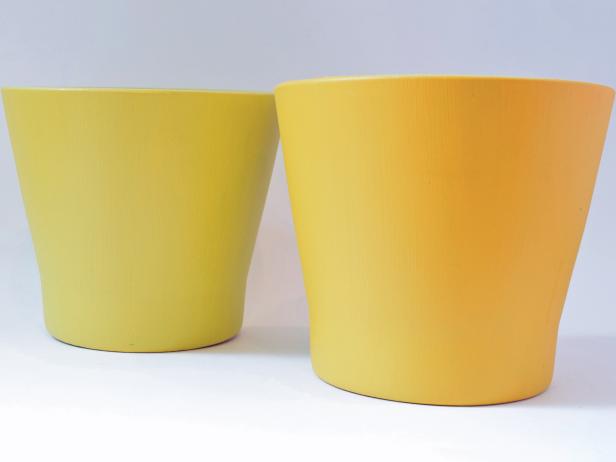 How to Grow a Pineapple and Make a Pineapple Planter | how 